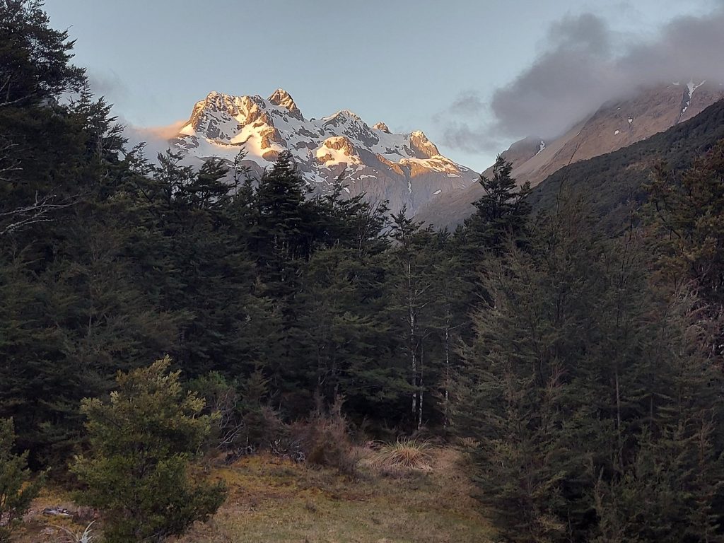 Carrington Hut—Canterbury’s gateway to the wilderness