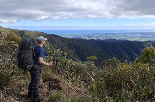 Man with backpack looking over the hinterland.