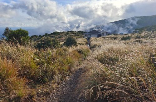 A hut on a tussock covered hillside.