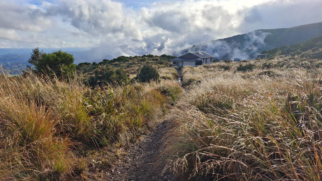 A hut on a tussock covered hillside.